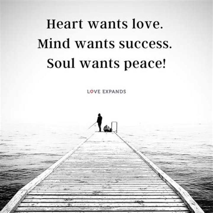 Unveiling Love, Success, And Impact