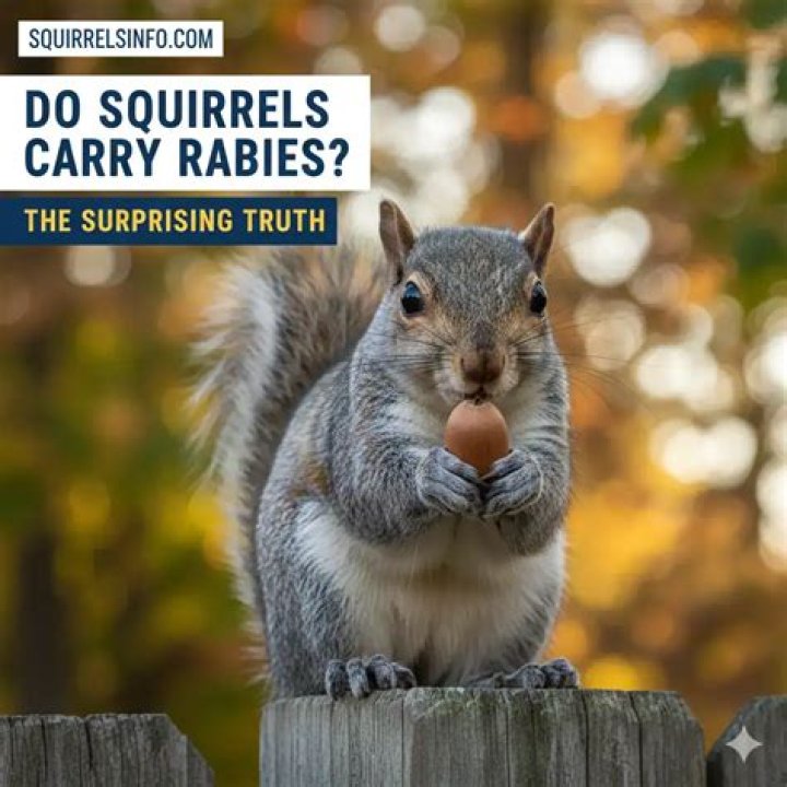 Unveiling The Hidden Diet Of Squirrels: Discover Their Meat-Eating Secrets