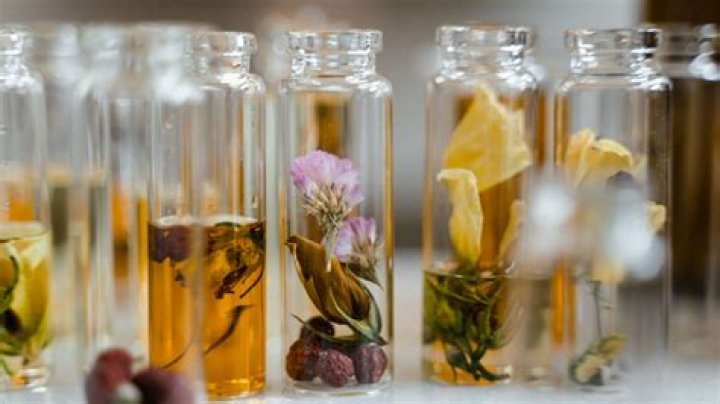 Unveiling The Secrets Of Pioneer Spa Sauna: Discoveries And Insights Await
