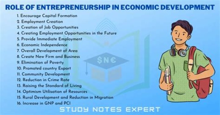 What are the roles of entrepreneur in economic development? |