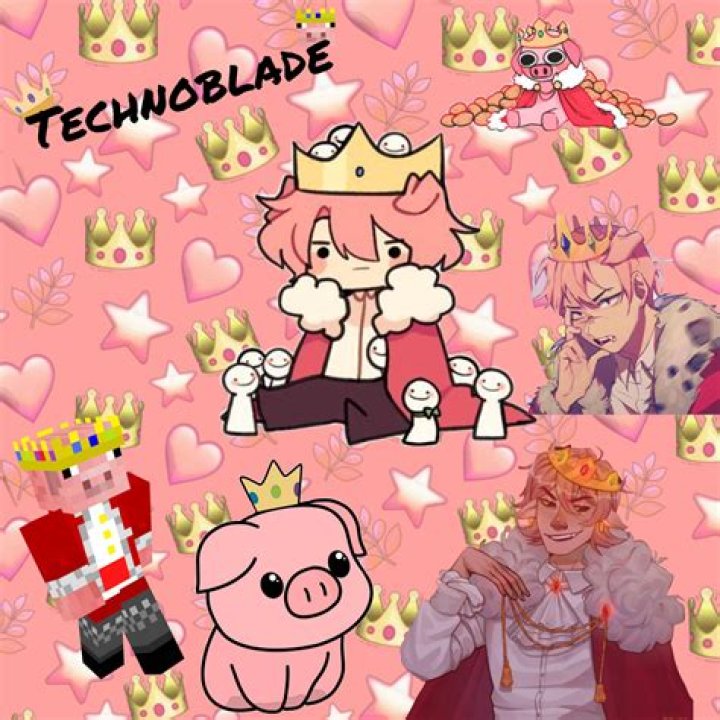 What Did Meowbahh Do To Technoblade? How Old Is He- Twitter Explored