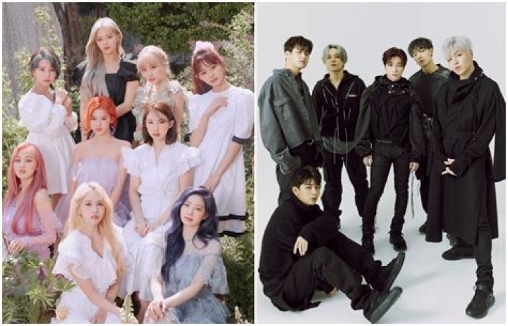 What year will twice disband? Celebrity.fm #1 Official Stars, Business & People Network, Wik ·