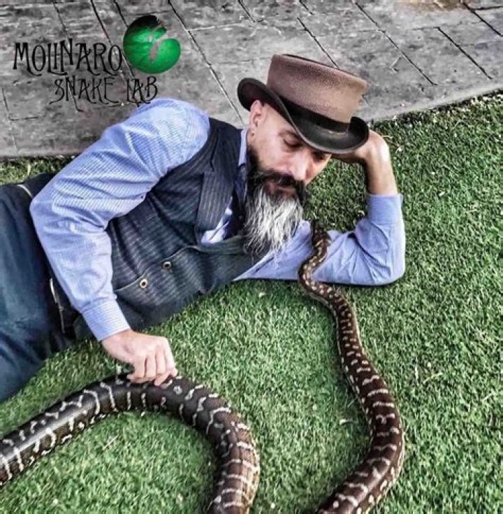 Where Is Michael Humphrey Now? Snake Breeder Murdered